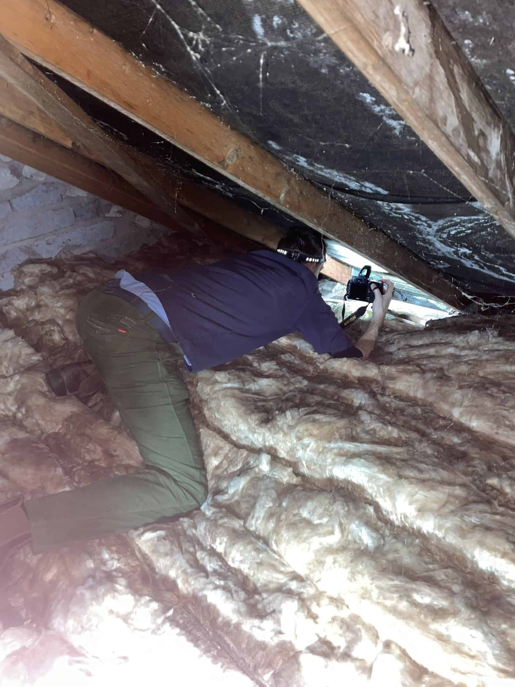 What do surveyors look for during a house survey?